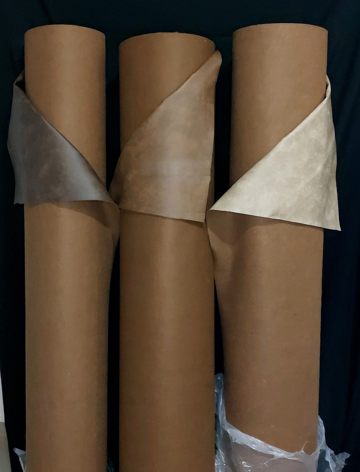 Cuerina